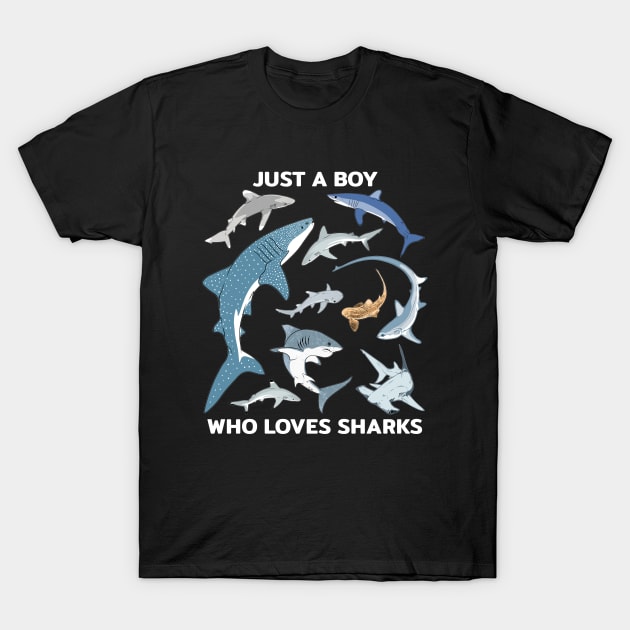 Just a boy who loves sharks T-Shirt by NicGrayTees